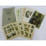 A quantity of coloured engraved book plates and copper engraved prints of birds and animals,