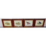 Set of four coloured bird prints containing within faux burrwood glazed frames (4)