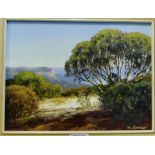 Harry Emmett 'Nr Cahills, Lookout, Katoomba' Oil-on-Board, signed, 29 x 22cm