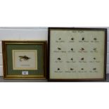 Collection of framed Fishing Flies to include Gordon Ranger, (2)