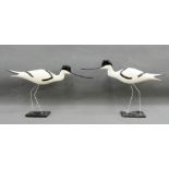 Michael Lythgoe, pair of Avocet, signed with a monogram, on slate plinth bases, 20cm high, (2)