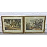 Set of five coloured Partridge Shooting prints, in glazed frames, (5)
