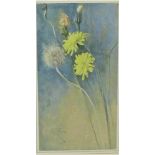 Arthur Wardle (1864 - 1949) 'Dandelion's' Watercolour Signed, in a glazed gilt wood frame, 14 x 26