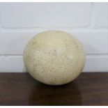 An ostrich egg