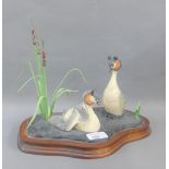 Border Fine Arts Courting Grebes on a plinth base, 31cm long