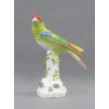 Porcelaine de Paris parrot, 21.5cm high