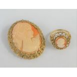 9 carat gold Cameo plaque ring and a 9 carat gold framed Cameo brooch (2)