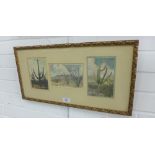 A group of three Arizona cactus coloured prints, contained within a single frame