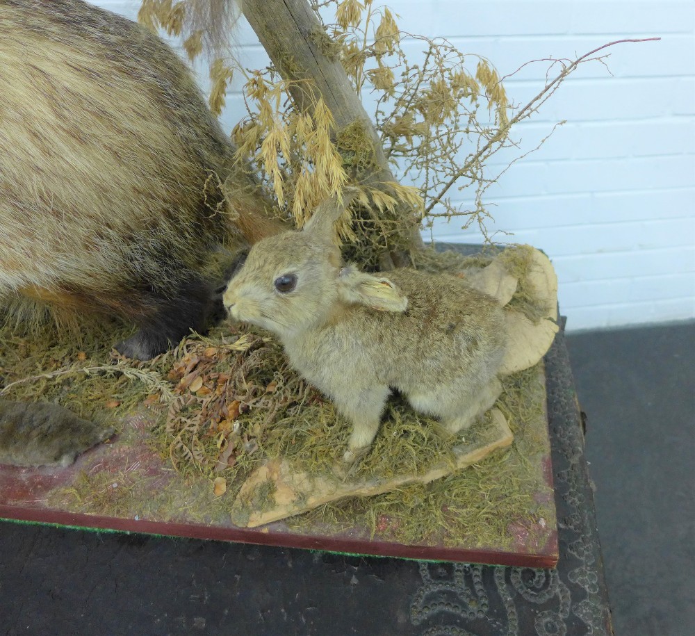 Taxidermy group of a fox, badger, squirrel, mole and rabbit, on a plinth base, 107 x 80 x 30cm - Image 2 of 5