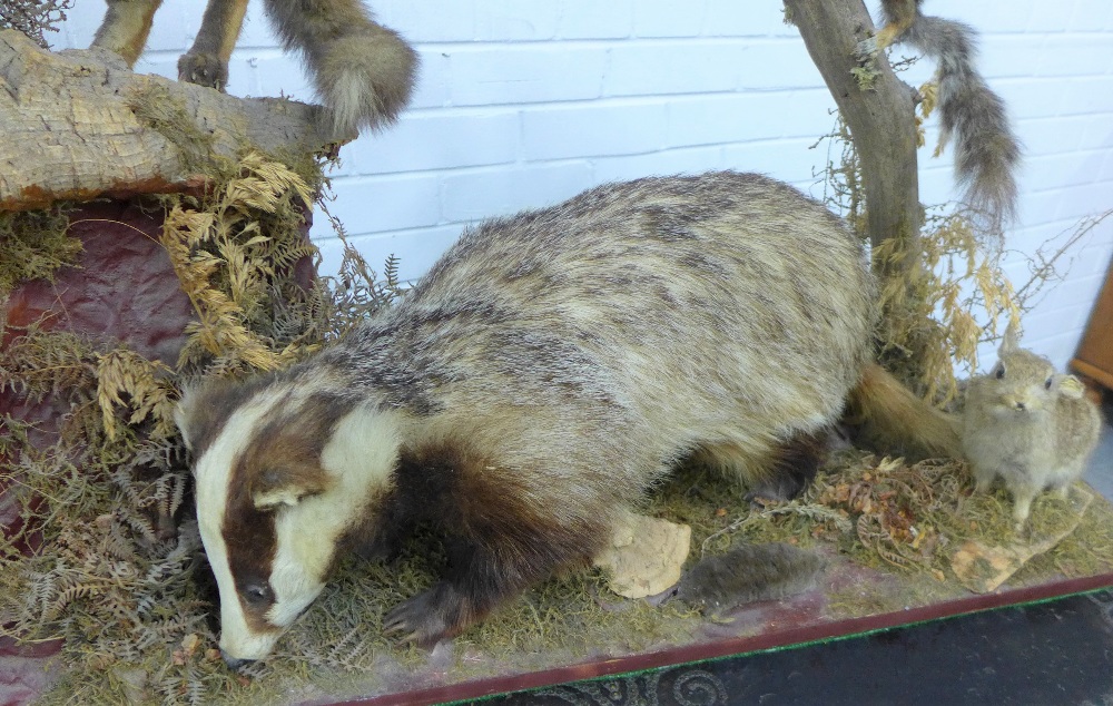 Taxidermy group of a fox, badger, squirrel, mole and rabbit, on a plinth base, 107 x 80 x 30cm - Image 4 of 5