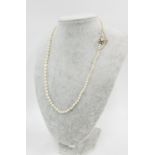 A single strand of graduated cultured pearls with a pearl set gold clasp, length 50cm