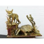 Taxidermy group of a fox, badger, squirrel,mole and rabbit, on a plinth base, 107 x 80 x 30cm