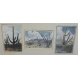 A group of three Arizona cactus coloured prints, contained within a single frame