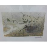 Leon Danchin (1887 - 1938 Woodsnipe, Coloured Etching, Singed in pencil, No 82/500, in glazed frame,