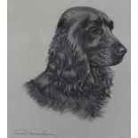 Leon Danchin (1887 - 1938) Black Spaniel, Coloured Etching, singed in pencil, in a glazed frame,