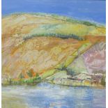 Lynne Roberts (contemporary Scottish school, Hills & River Tay Near Aberfeldy, oil on board, framed,