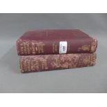Rose & Careless Manual of Surgery, in two volumes (2)