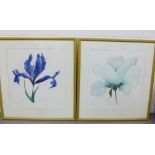 Grainne Cuffe, a pair of coloured botanical prints to include Love that Lasts and Blue Irises, in