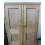 Early 20th century pine cupboard, the twin panelled doors opening to reveal a shelved interior,on
