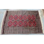 Eastern rug, the red field with multiple borders, fringed ends, 200 x 124cm