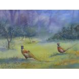 Patrick Murphy, Pheasants, Watercolour, signed, in a glazed frame, 37 x 27cm