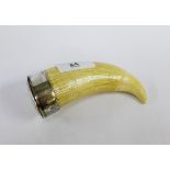 White metal mounted ivory tusk snuff mull, 13cm long