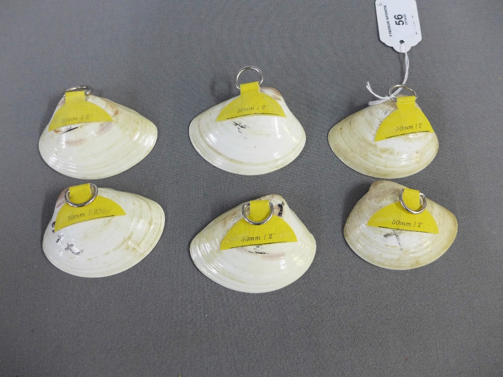 Set of six Japanese handpainted faux ivory mussel shells, with wall hanging loops, 8cm (6) - Image 2 of 2