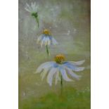 Louise Lewis, Daisies, Oil on board, signed, framed, 12 x 17cm