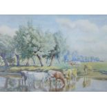 W. Sidney Cooper, Cows drinking from the stream, Watercolour, signed and dated 1919, in a glazed