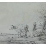 Cows, a pencil sketch, unsigned, in glazed silver giltwood frame, 24 x 21cm