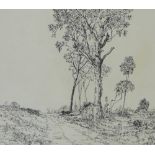 Late 20th century School, Woodland path, Ink sketch / drawing, signed and dated June 2nd '75, in a