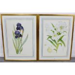 Pair of coloured Botanical prints to include a Redoute print of irises and another of lilies, in