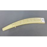 Late 19th / early 20th century ivory cribbage board, 31cm long