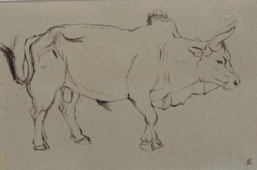 Alexander Fraser, (Scottish b.1940) Nepalese Bull, Ink on paper, signed with initials and dated '00,