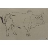 Alexander Fraser, (Scottish b.1940) Nepalese Bull, Ink on paper, signed with initials and dated '00,