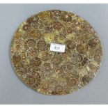 Ammonite circular plaque, 24cm diameter