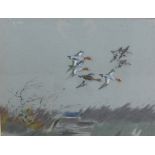Flying Ducks, pastel, signed indistinctly, framed under glass, 50 x 38cm