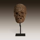 A grasslands model skull, Cameroon