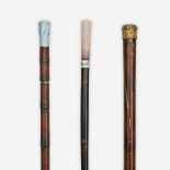 A group of three ladies' canes, Various dates late 19th/early 20th century