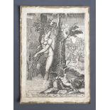 Giorgio GHISI (1520-1582). Vénus et la Rose. 1556. Gravure sur cuivre d'après Luca [...]