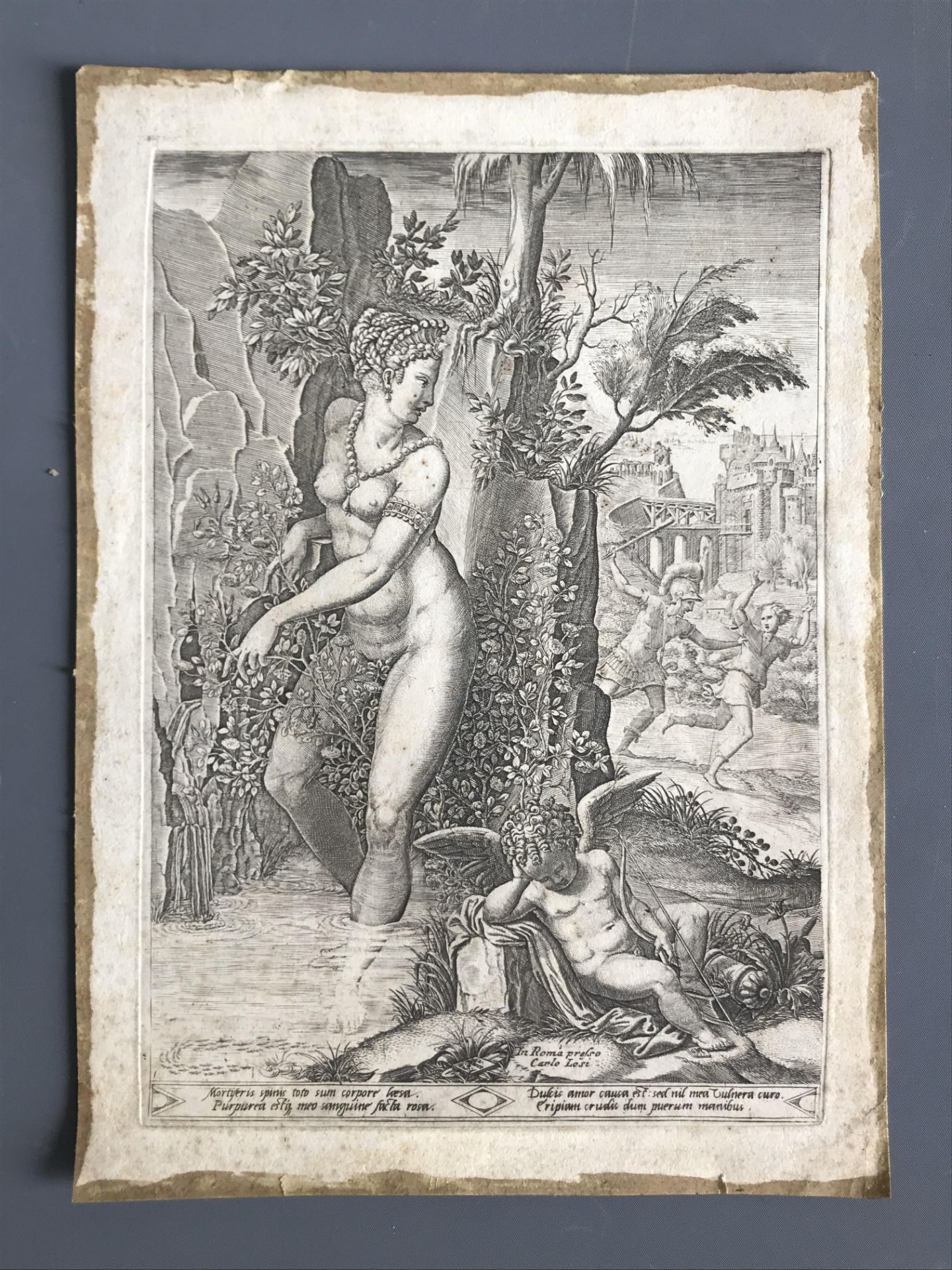 Giorgio GHISI (1520-1582). Vénus et la Rose. 1556. Gravure sur cuivre d'après Luca [...]