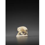 RANSEN: AN IVORY NETSUKE OF A STAG ON BASE