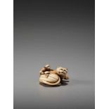 A RARE IVORY NETSUKE OF A CAT AND A SMALL MONKEY