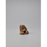 A WOOD NETSUKE OF A SHISHI ATTRIBUTED TO TOMOCHIKA