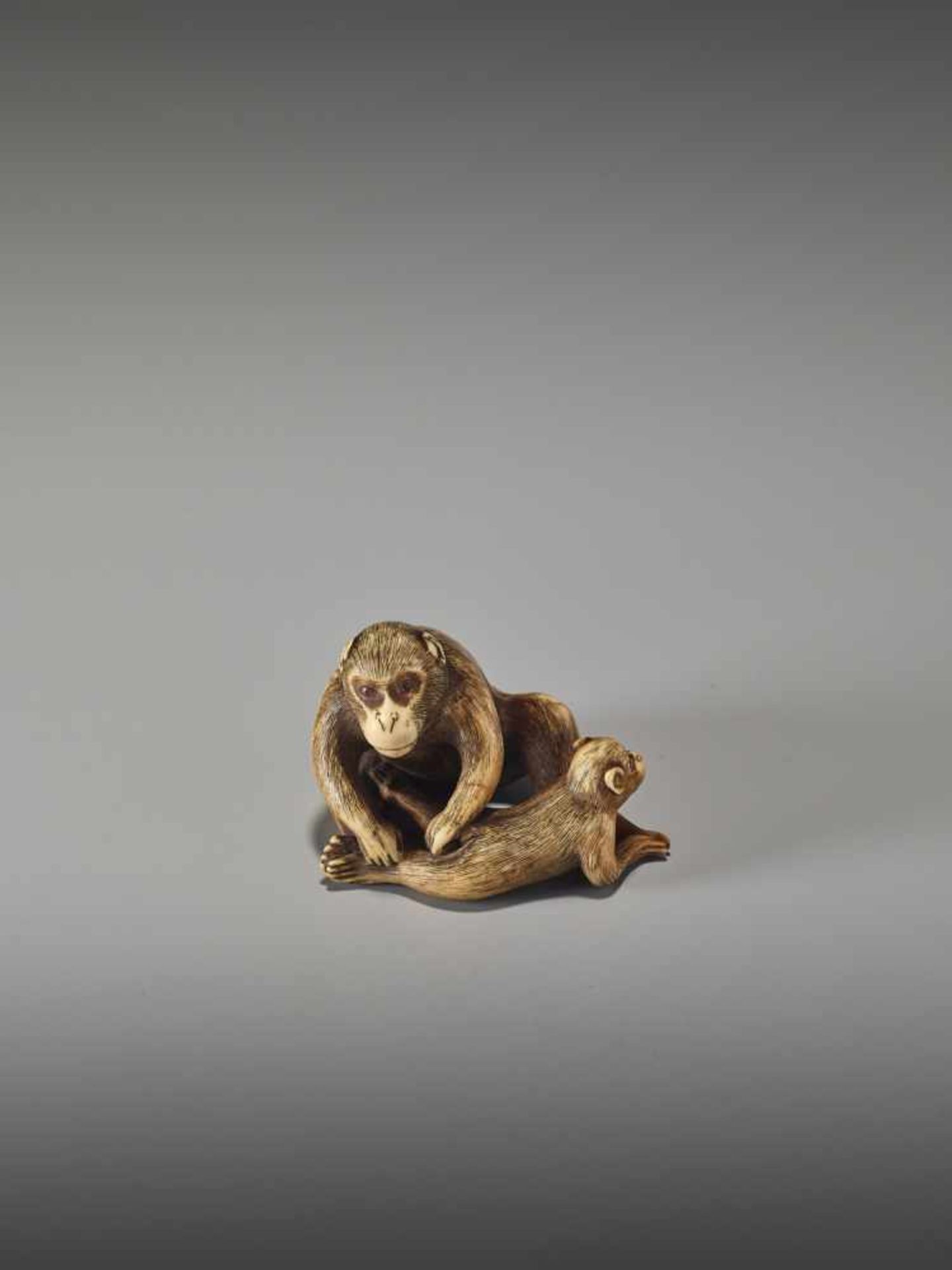 MASANAO: A RARE IVORY NETSUKE OF TWO GROOMING MONKEYS - Bild 2 aus 7