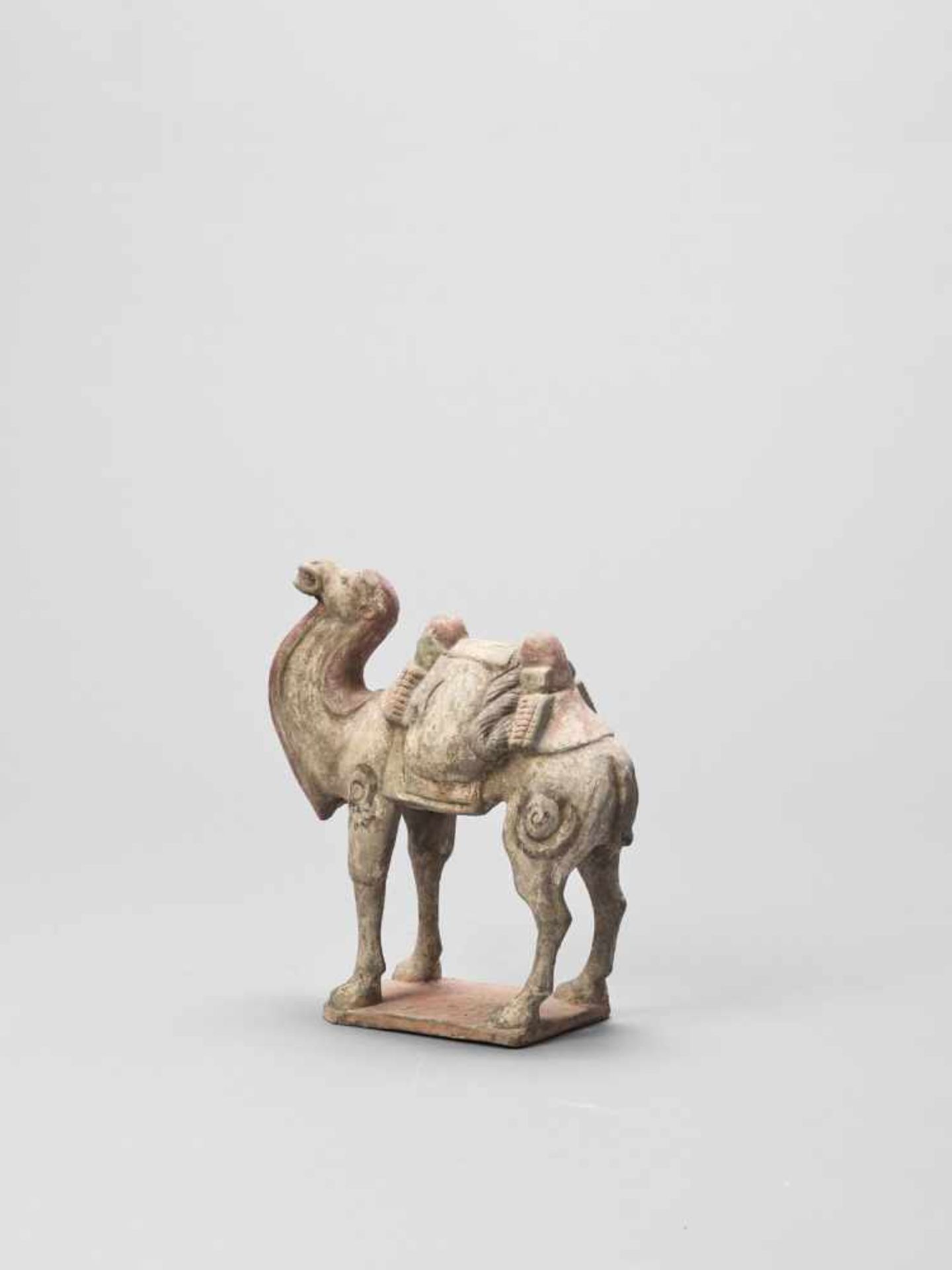 A TERRACOTTA MODEL OF A CAMEL, TANG - Image 3 of 6