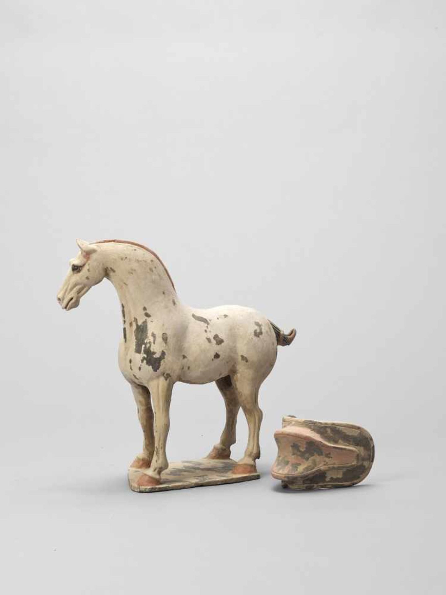 A TL-TESTED TERRACOTTA MODEL OF A HORSE, EARLY TANG - Bild 3 aus 6