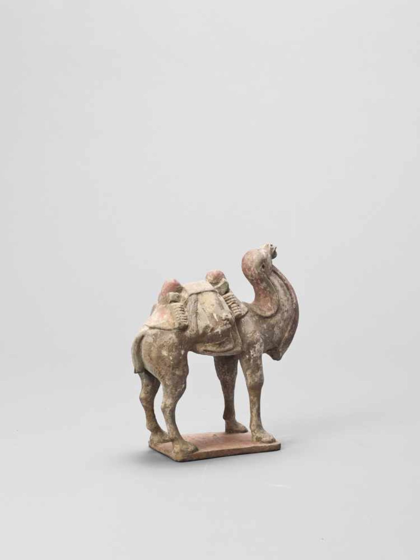 A TERRACOTTA MODEL OF A CAMEL, TANG - Image 4 of 6