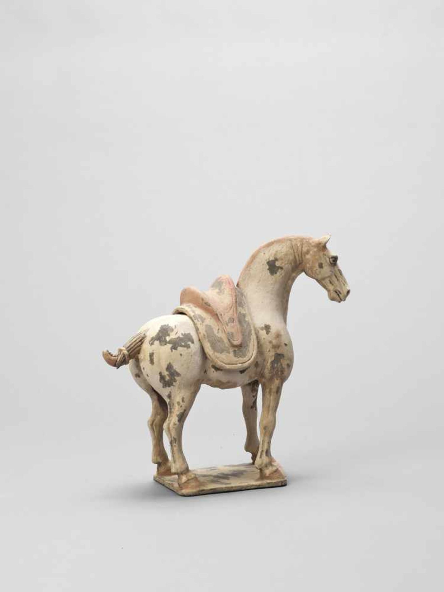 A TL-TESTED TERRACOTTA MODEL OF A HORSE, EARLY TANG - Bild 5 aus 6