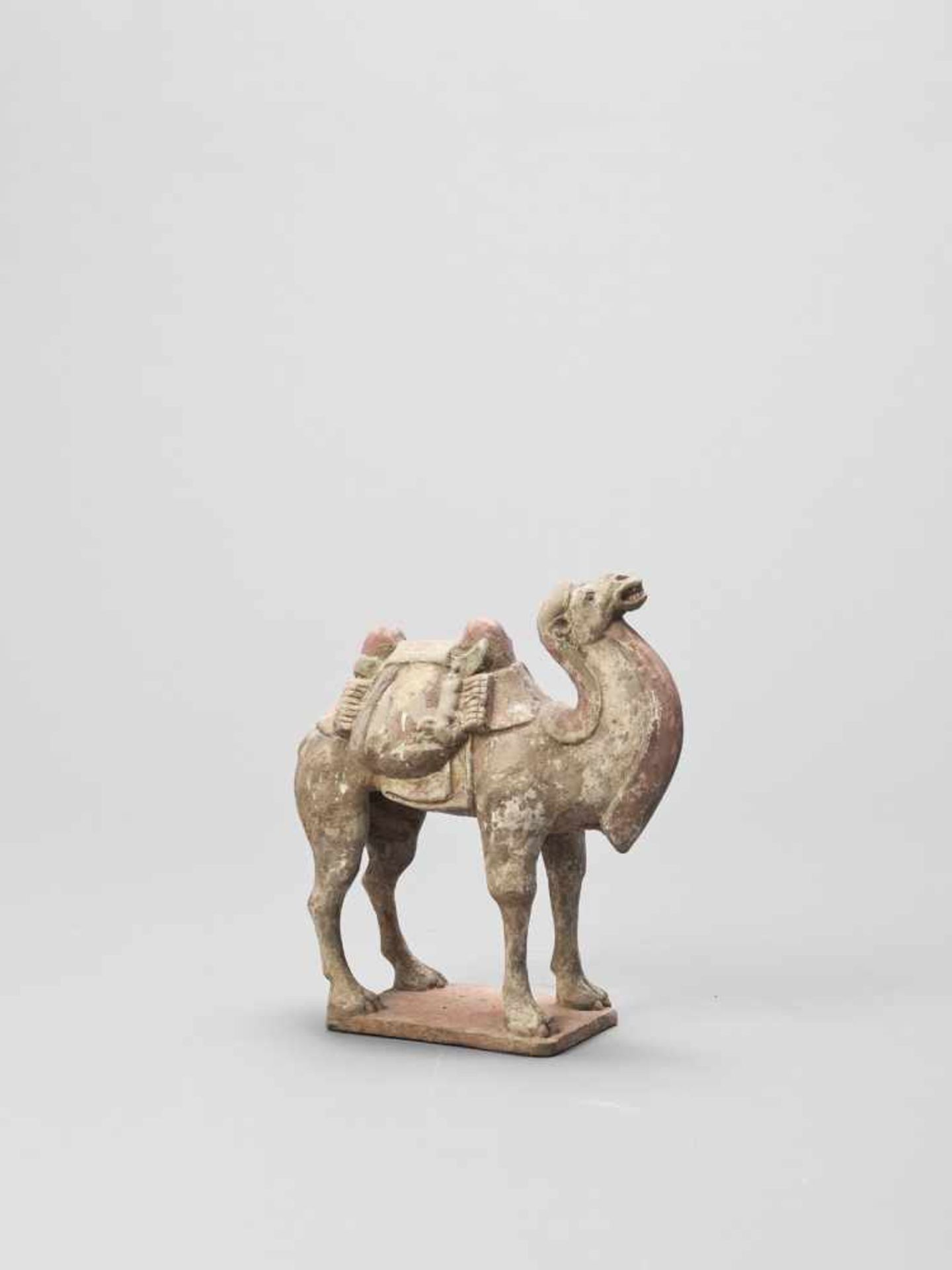 A TERRACOTTA MODEL OF A CAMEL, TANG - Image 5 of 6